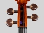 2024 Viola